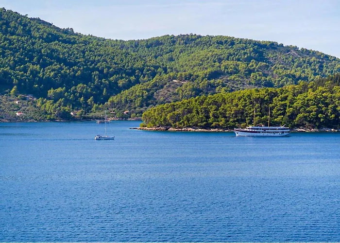 Franka With Pool And Sea View Villa Vela Luka