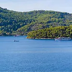 Franka With Pool And Sea View Villa Vela Luka