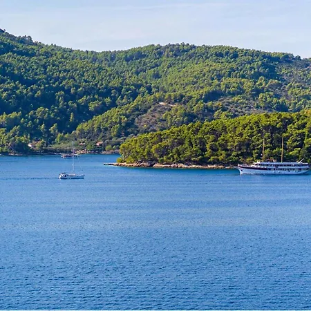 Franka With Pool And Sea View Villa Vela Luka